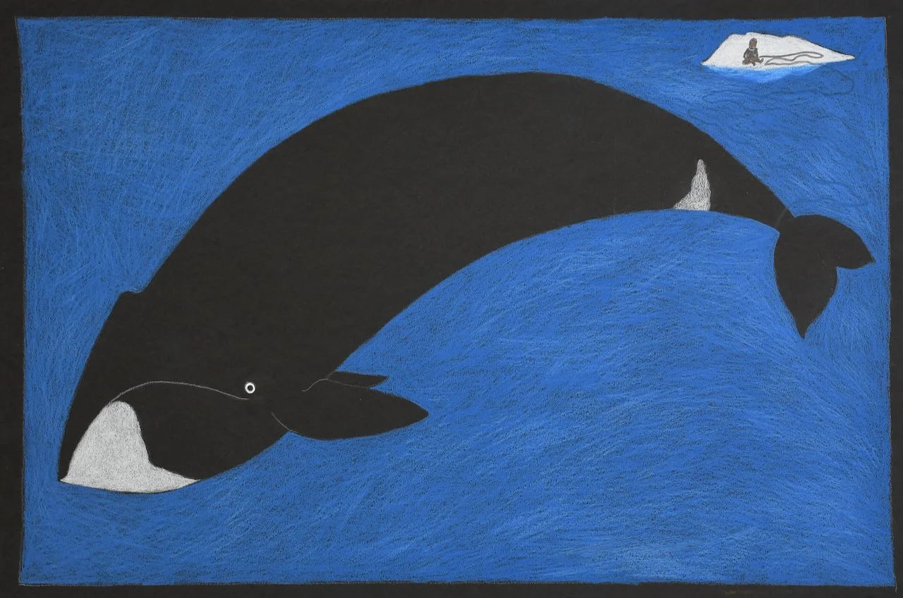  Bowhead Bride 15 × 22.25  Ink, Pastel # 151-1727 $ 1600 