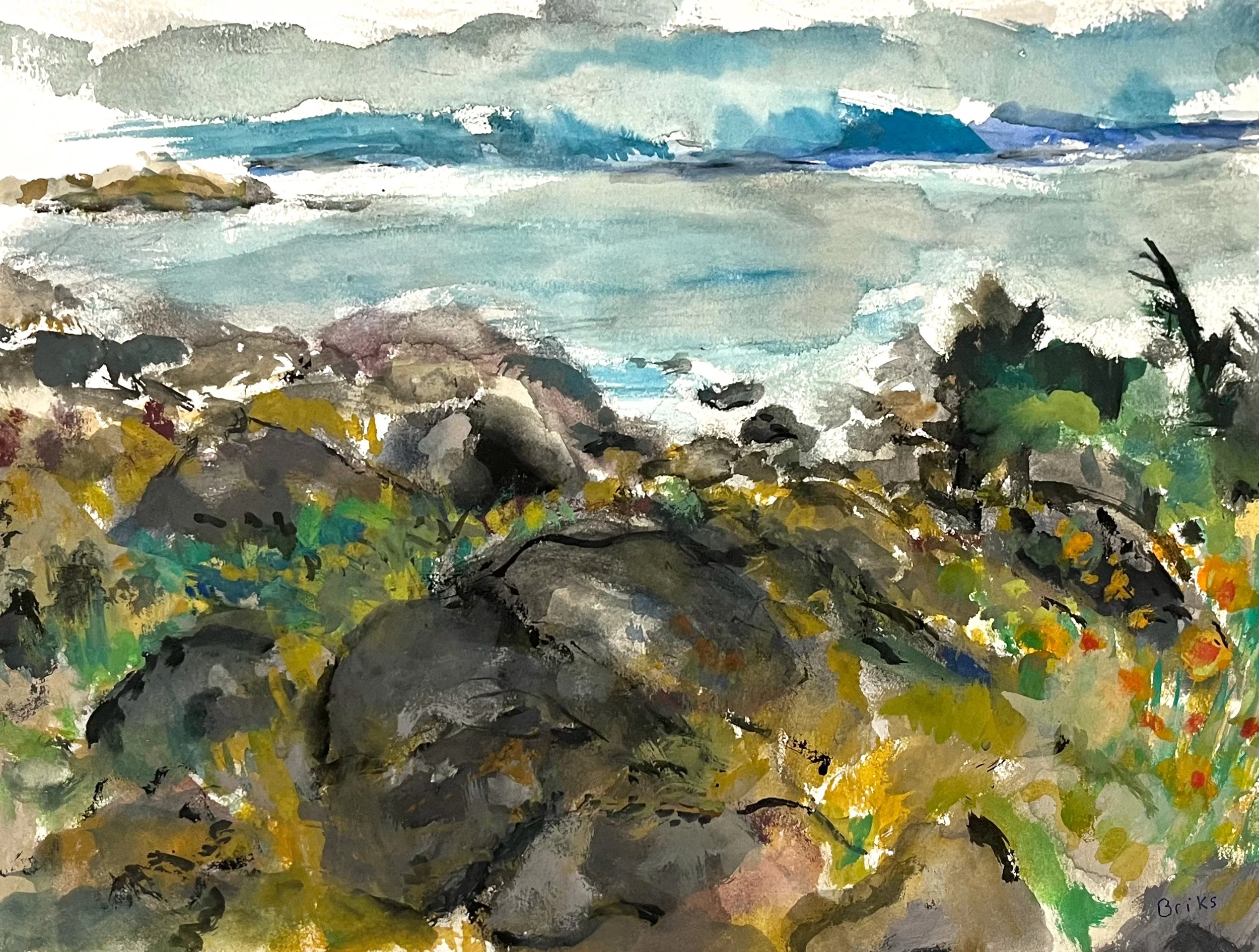  Galiano Conspiracy 12 x 16	 Gouache $ 850	 