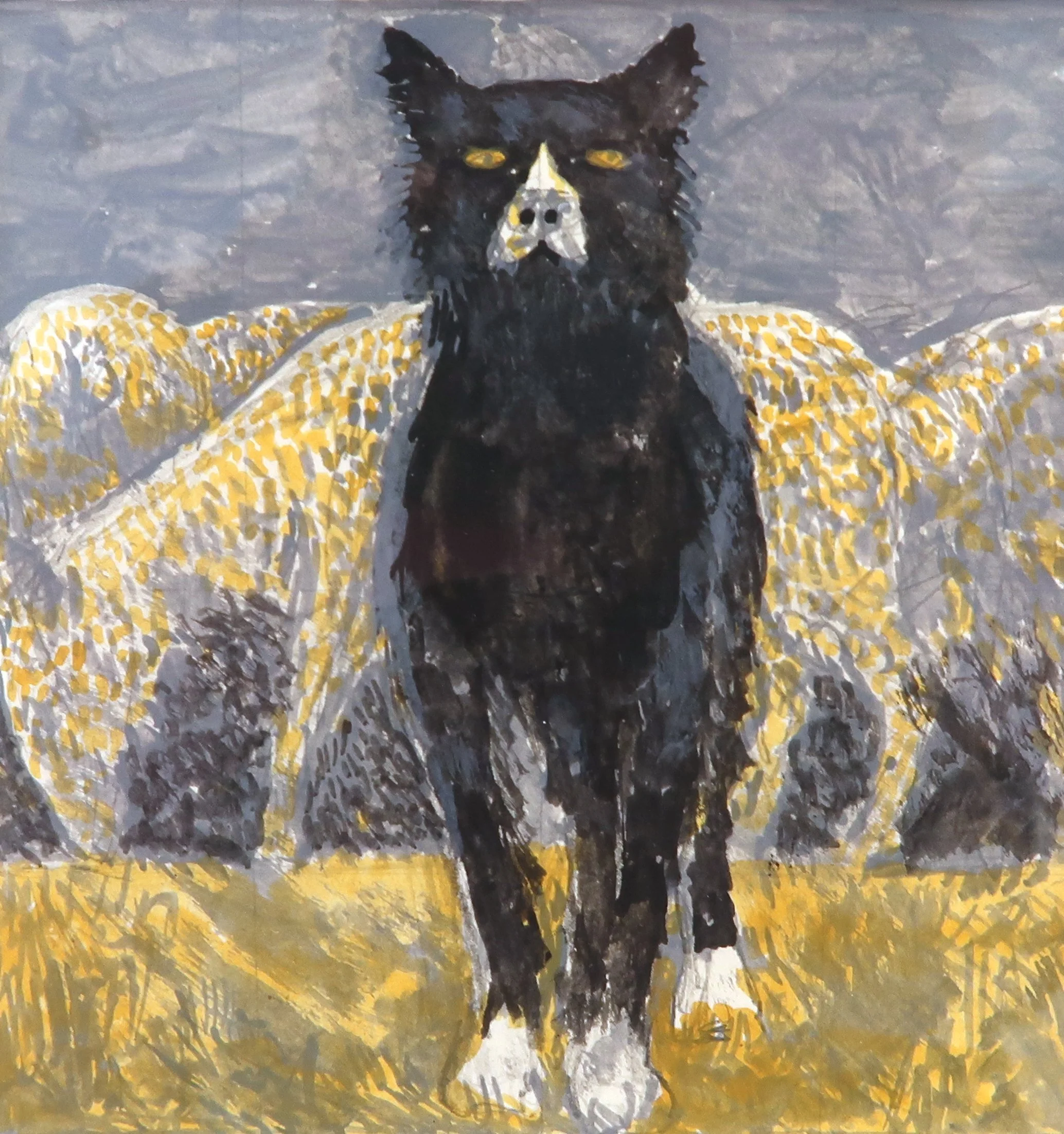  Study for Border Collie 5 × 5 Gouache, Pencil, Ink 1972  