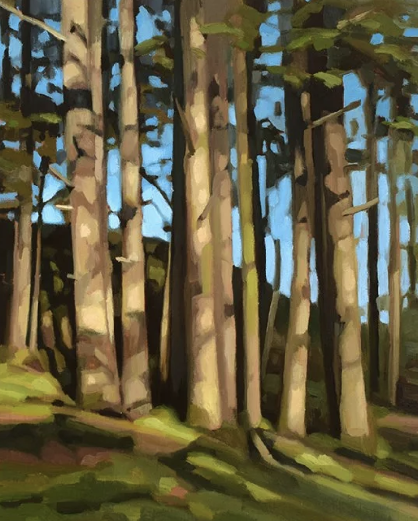  XWSEPSUM Tree Study 10 × 8 Oil on Board SOLD 