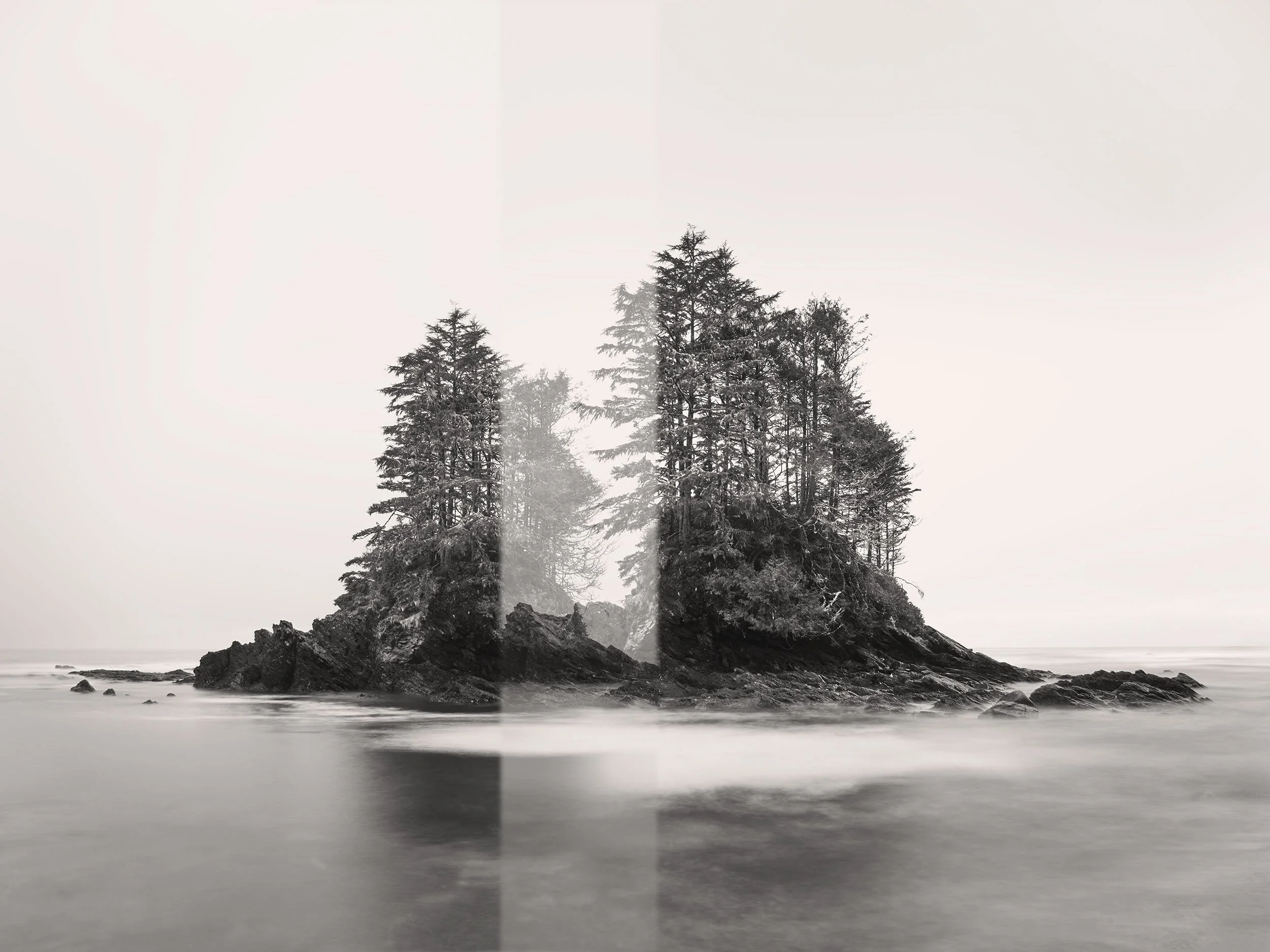  A Familiar Land No. 10, Botany Bay 36 × 48 Digital Photograph Edition 1/10 $ 4250 