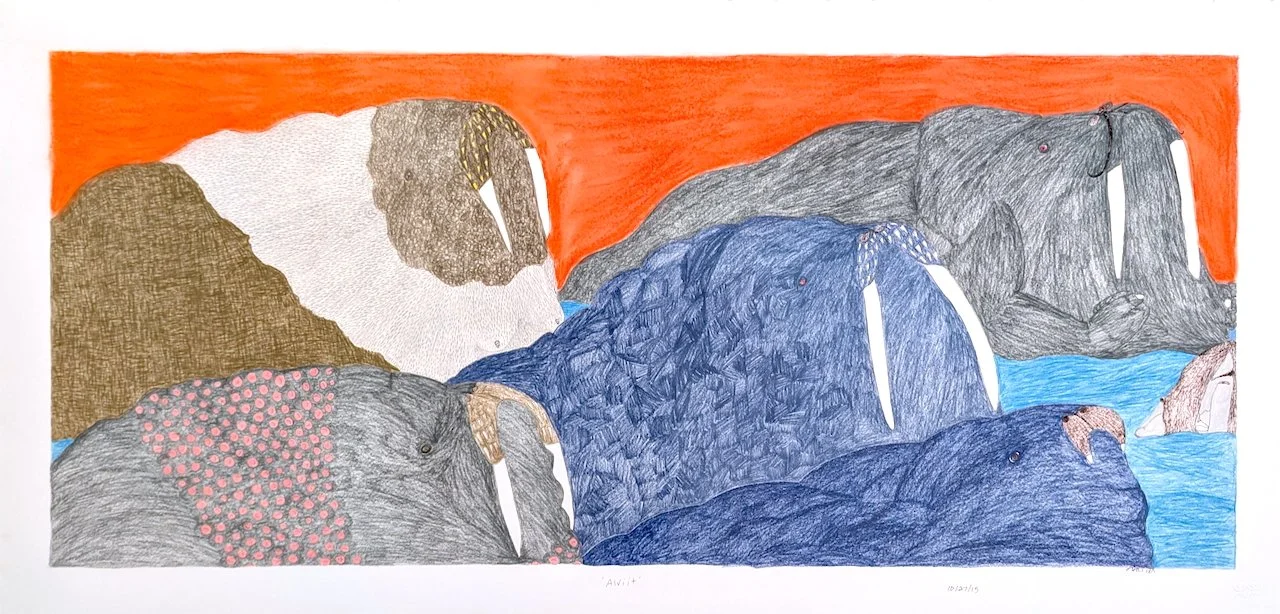  Aiviit 24 × 50 Coloured Pencil, Ink 2015 $ 5500 