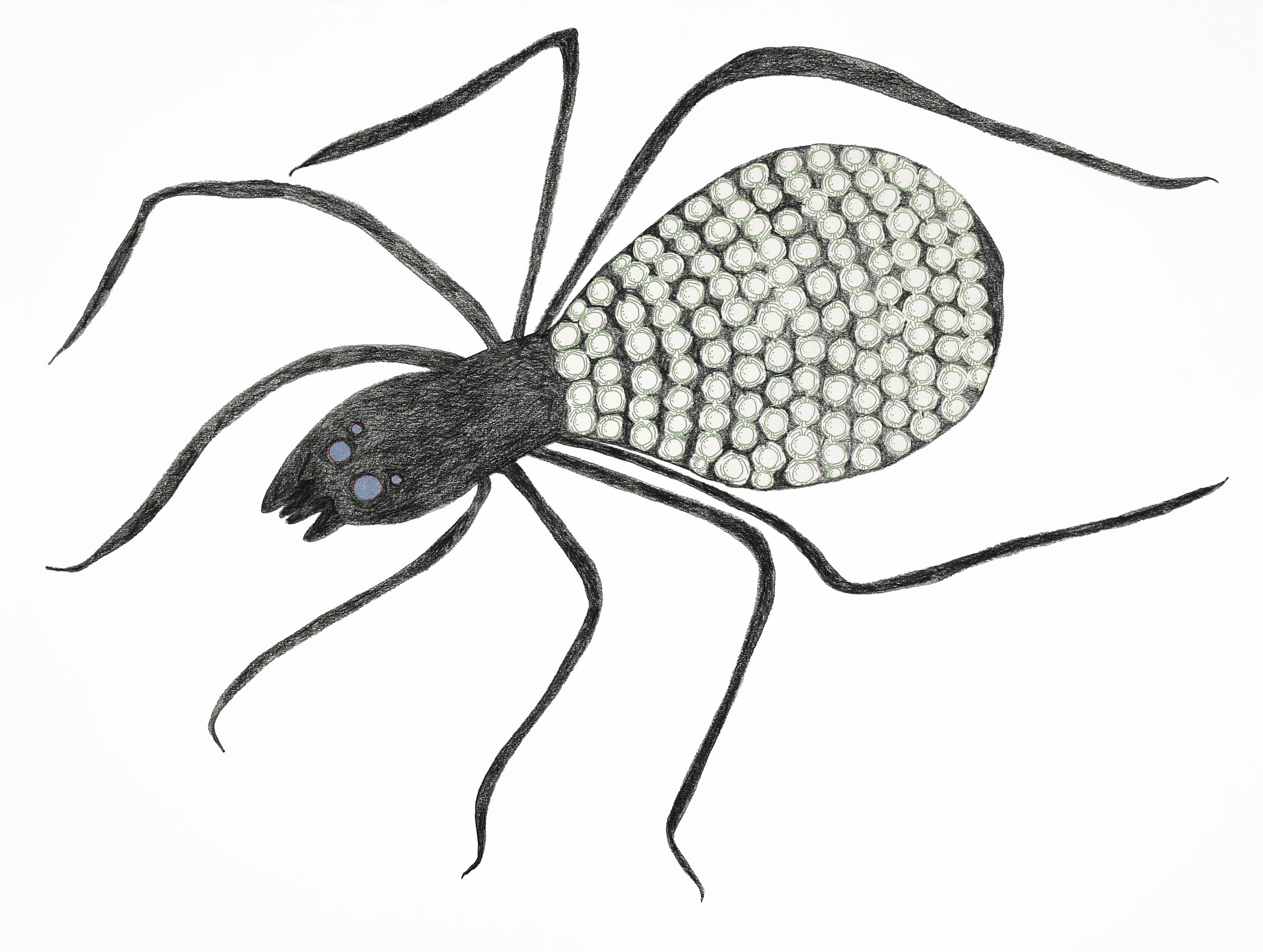  Anaqnaaluk	 23 x 30	 Coloured Pencil, Ink	 # 151-1752 $ 2700 