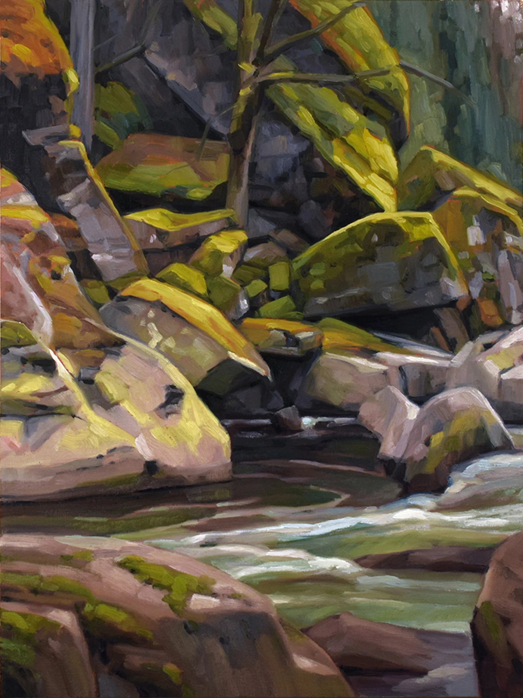  Snuneymuxw River II Study  12 x 9 Oil on Board SOLD 