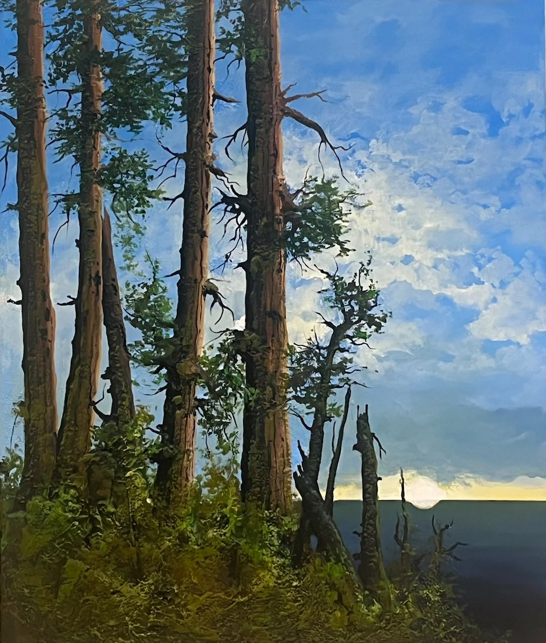  Rejuvenation 36 x 30 Acrylic on Canvas  $ 4970 