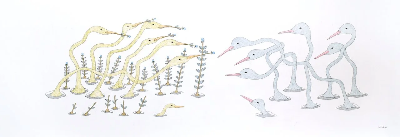  Qavavau Manumie Untitled (Many Birds) 18 x 50 Inches Coloured Pencil and&nbsp;Ink&nbsp; #072 - 3139 $ 3400 