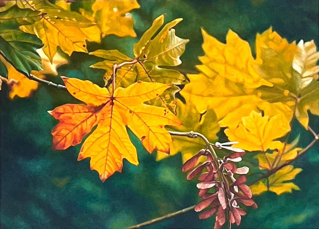  Prelude	 18 x 24	 Oil on Canvas	 SOLD																	 