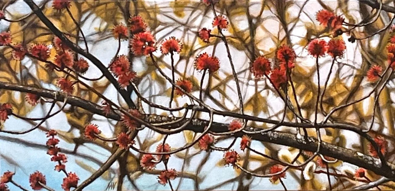  Staccato 12 x 24 Oil on Canvas $ 1900 