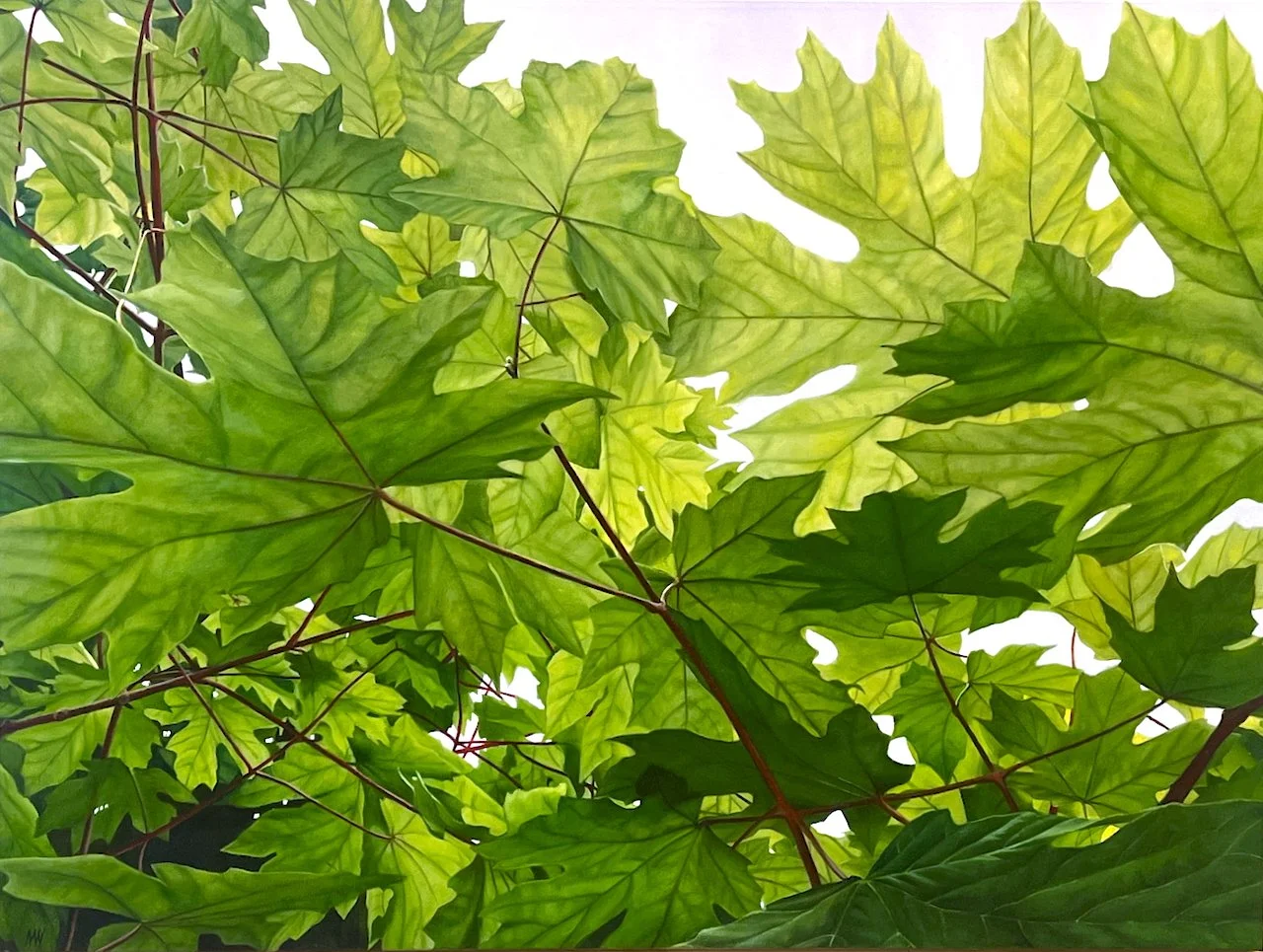 Vivante 30 x 40 Oil on Canvas SOLD 