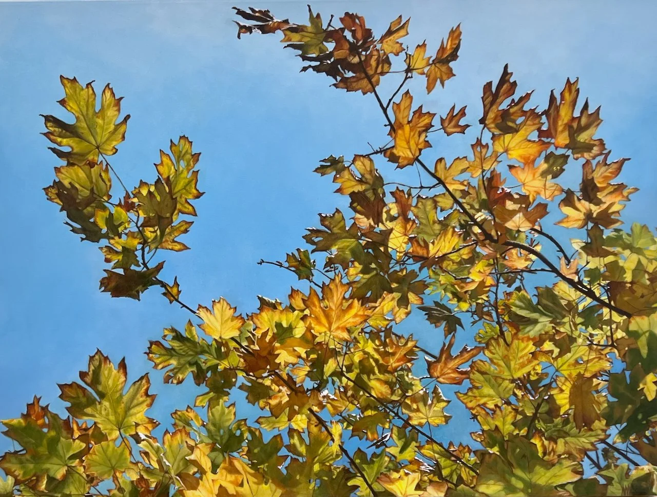  Arpeggio 30 x 40 Oil on Canvas $ 5790 