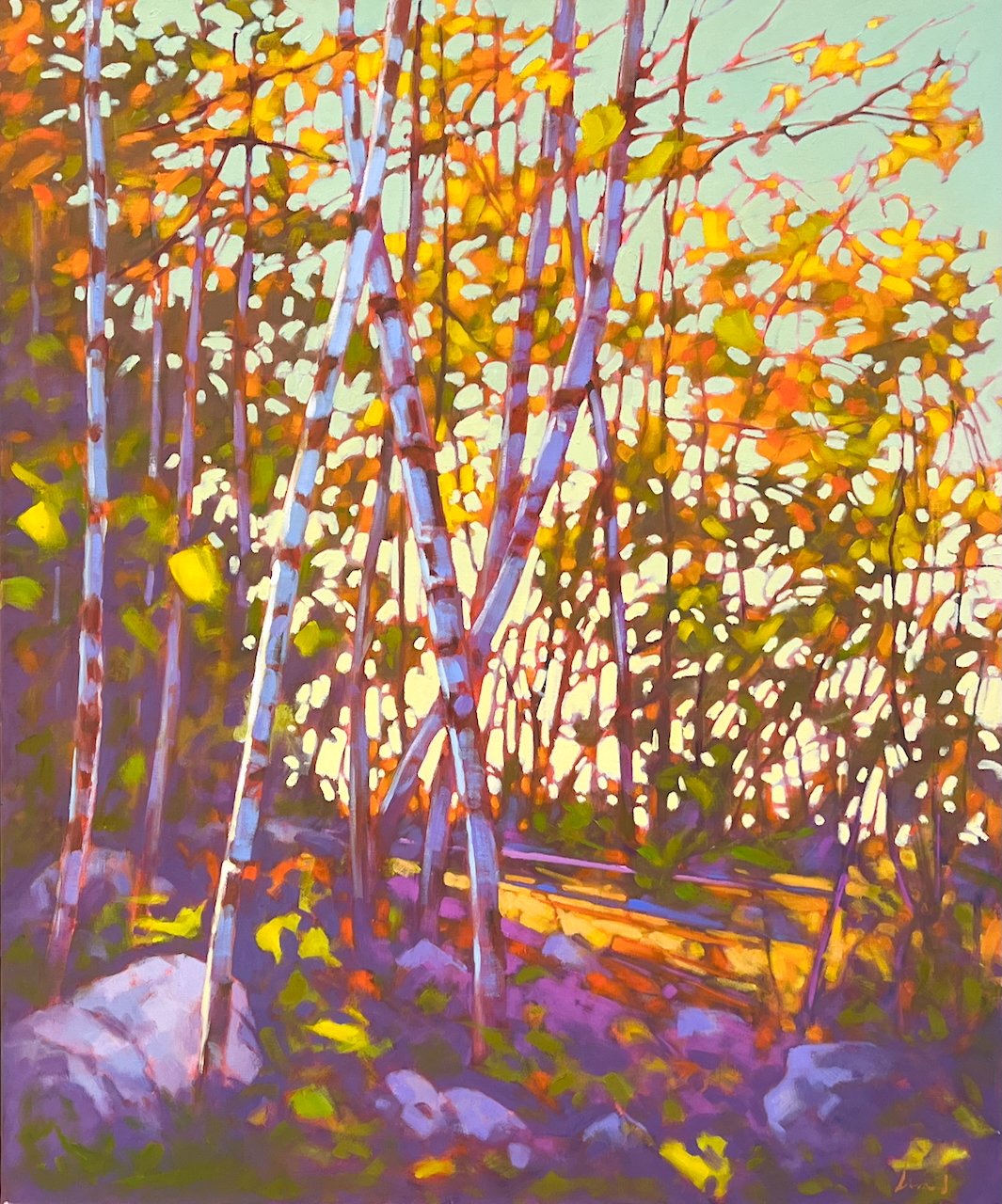  Birch Tangle 30 x 36  Oil on Canvas $ 3100 
