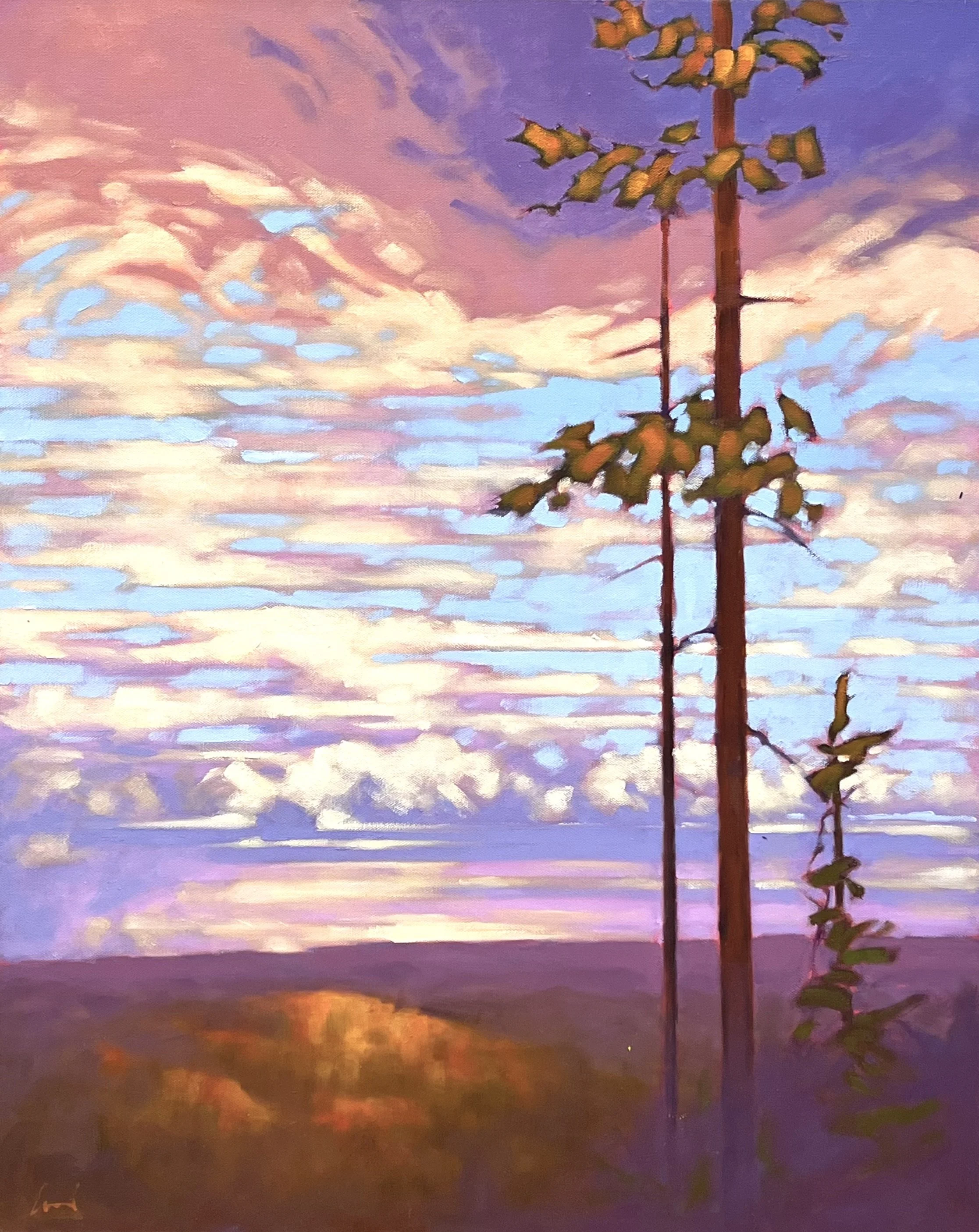  Lookout 30 x 24 Oil on Canvas $ 2550 