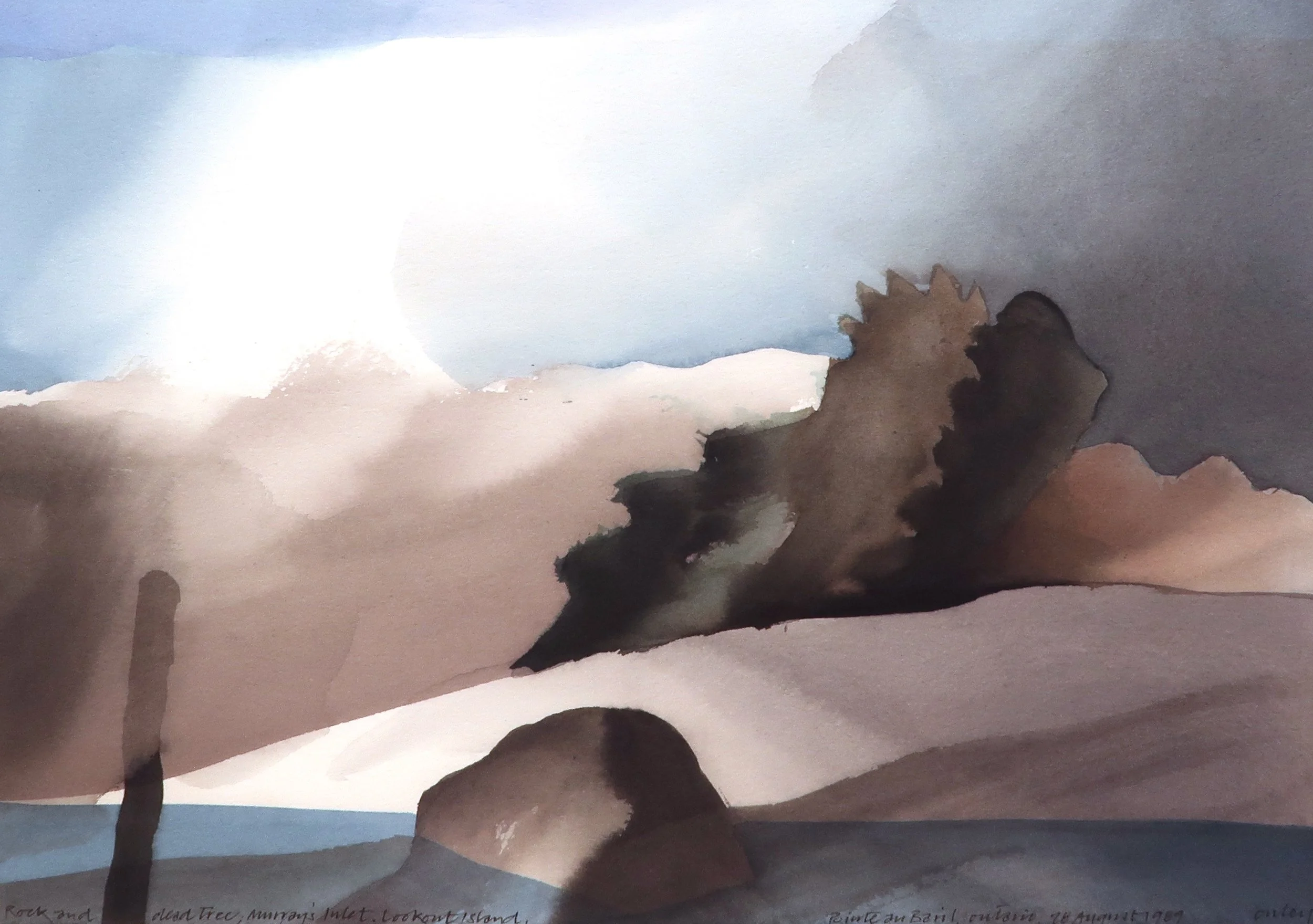  Rock and Dead Tree, Murray's Inlet, Lookout Island, Pointe au Baril, Ontario 10.75 x 15.25 Watercolour 1989 