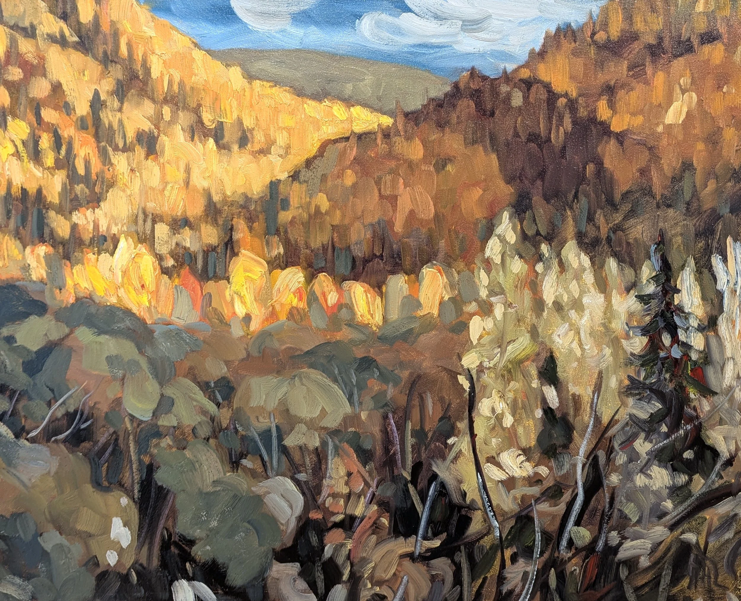  Shade Inclusion 24 x 30 Oil on Canvas $ 3275 