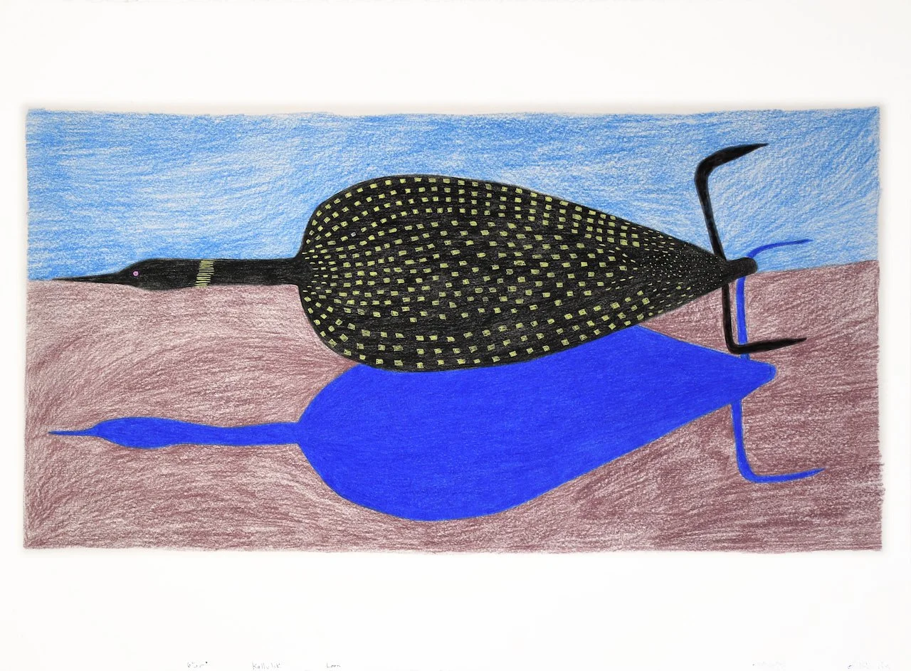  Ningiukulu Teevee Kallulik - Loon	 22.25 x 30	 Coloured Pencil, Ink		 #151-1736 $ 2875 