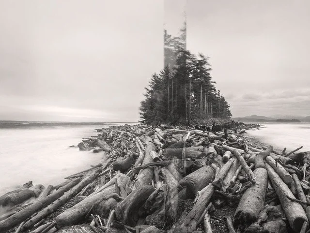  David Ellingsen A Familiar Land No. 8 (Rebecca Spit) 36 x 48  Digital Photograph  $ 4250 