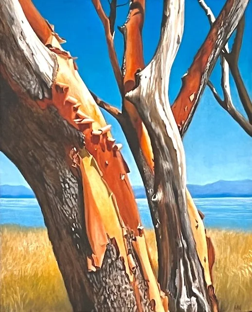  Madeleine Wood Helliwell Arbutus 20 x 16 Oil on Canvas $ 1925 