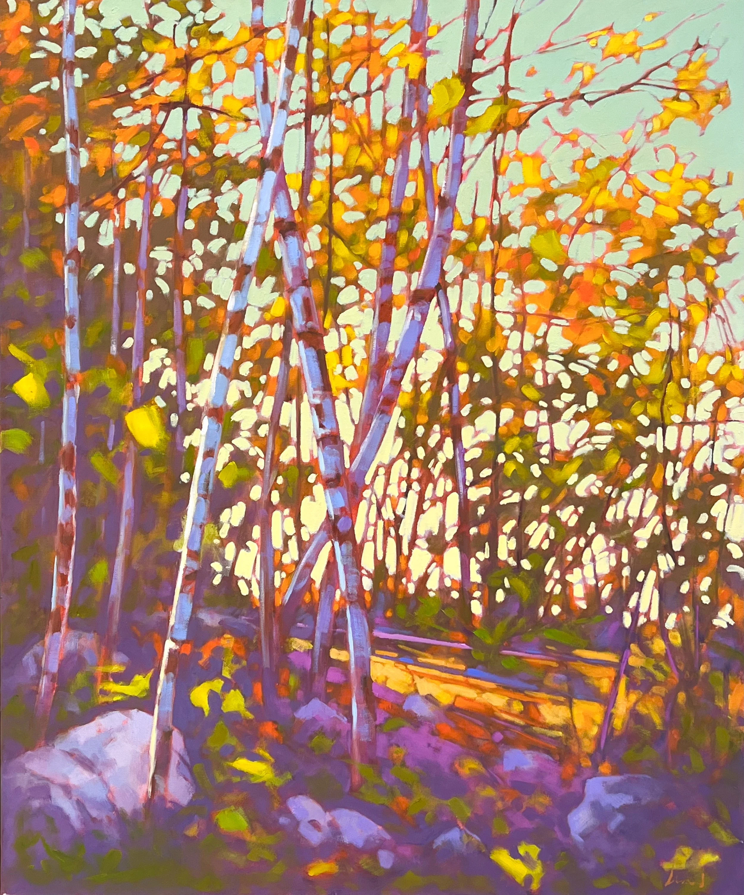  John Lennard Birch Tangle 30 x 36  Oil on Canvas $ 3100 