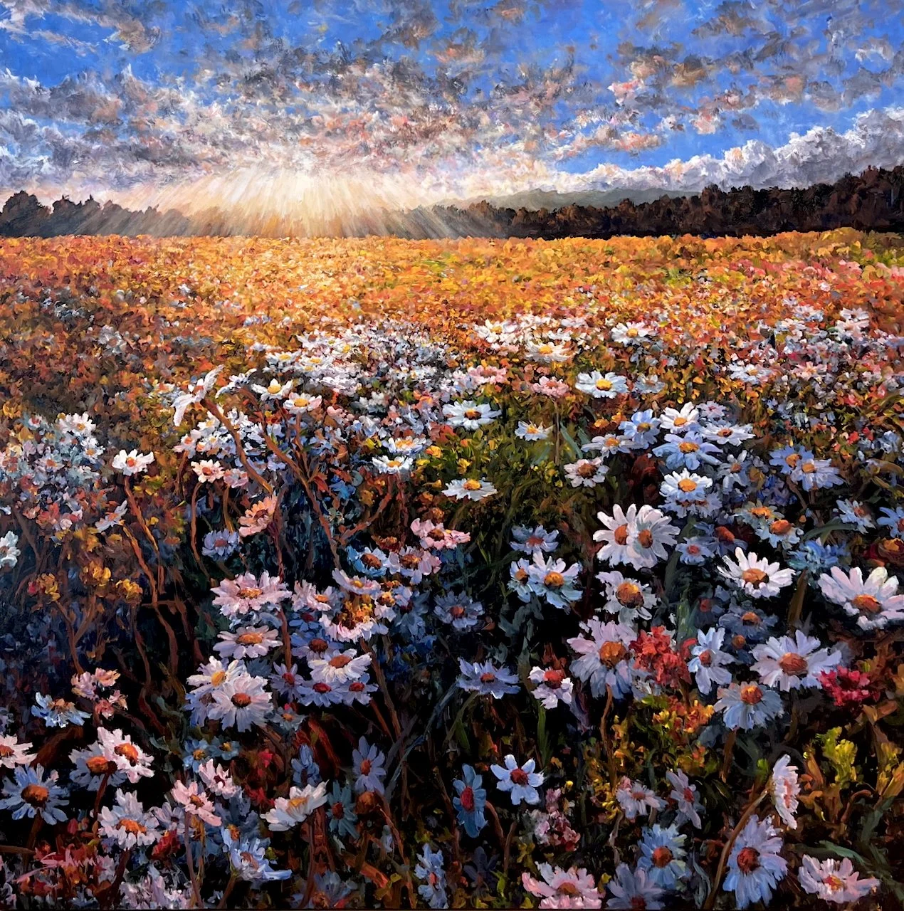  Tim Schumm Wild Flowers 48 × 48 Acrylic on Canvas $ 9500 