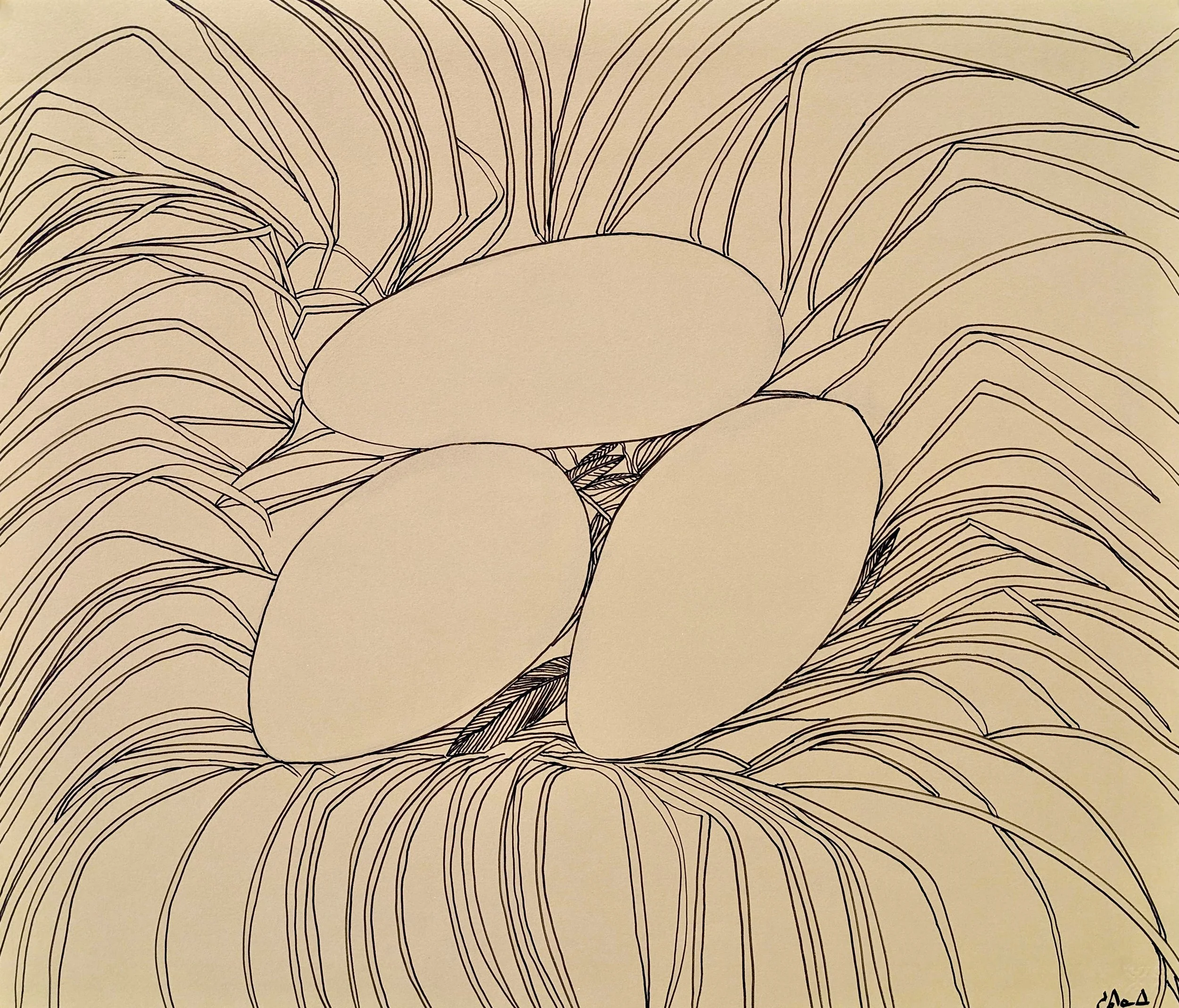 Untitled (Nest) 22 × 26 Ink on Paper #148-1345 2006 $ 2150 