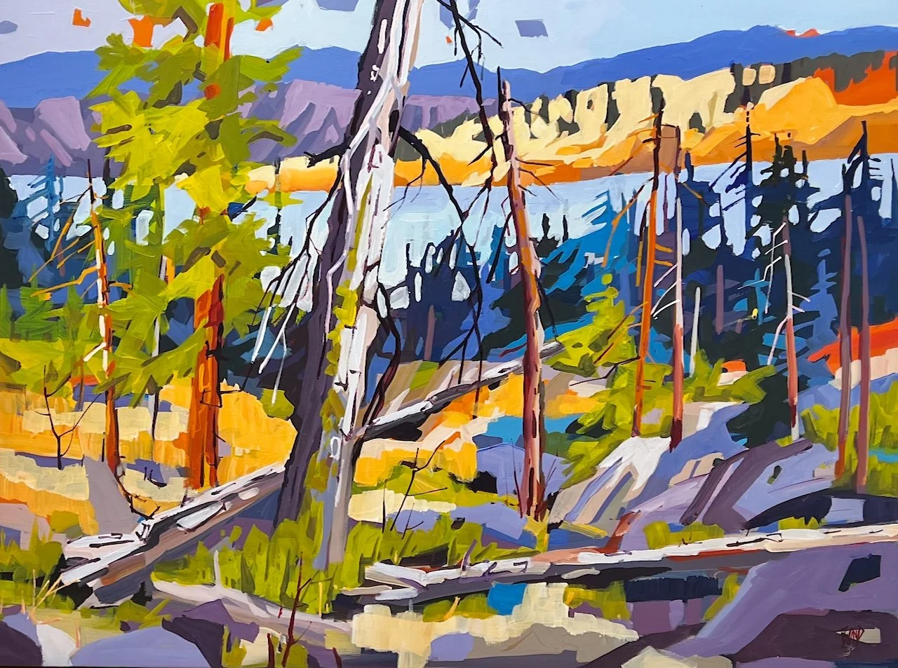  Canyon Hike 36 x 48  Acrylic on Canvas $ 6400 