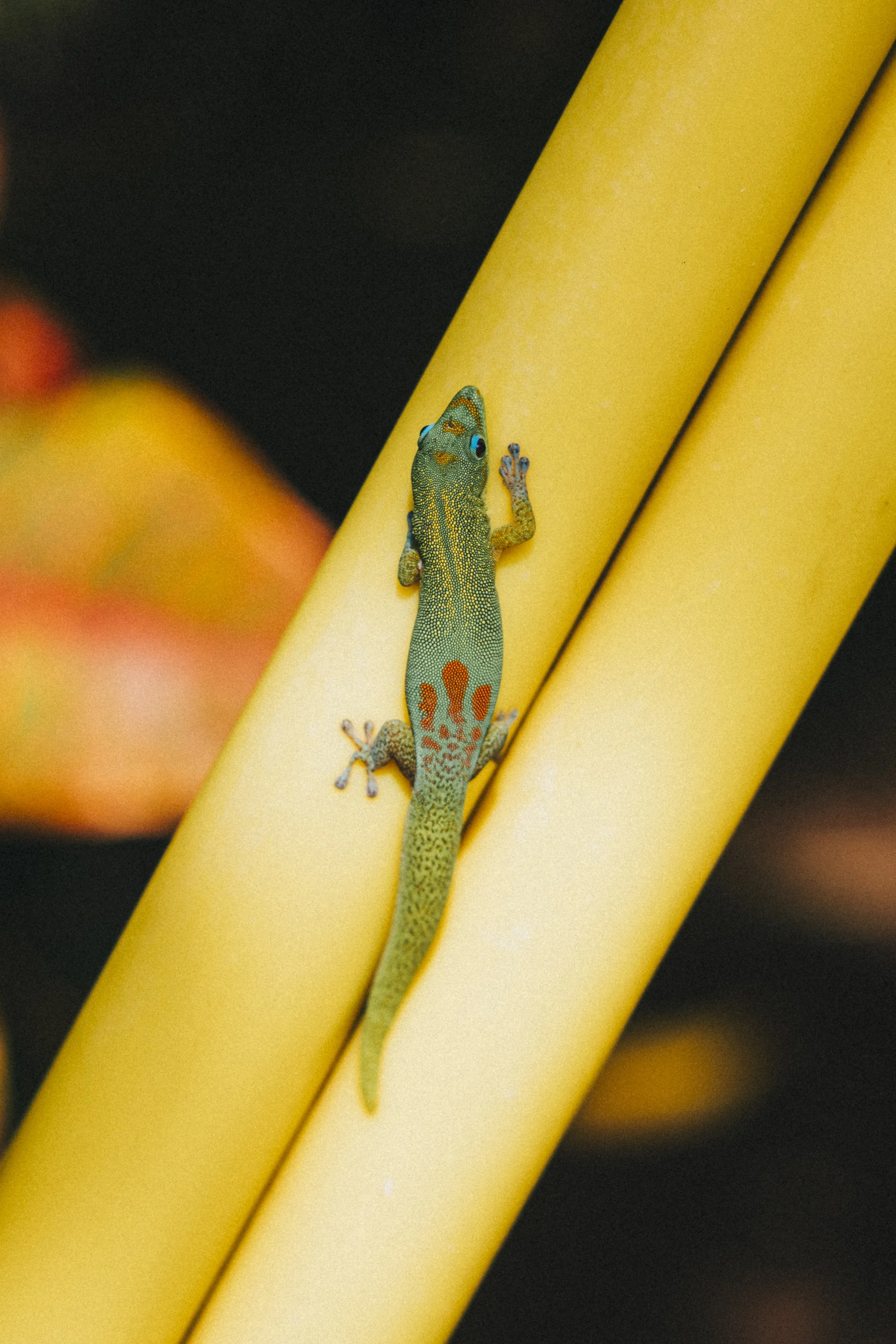 Exploring Kona: A Perfect Getaway with Great Friends