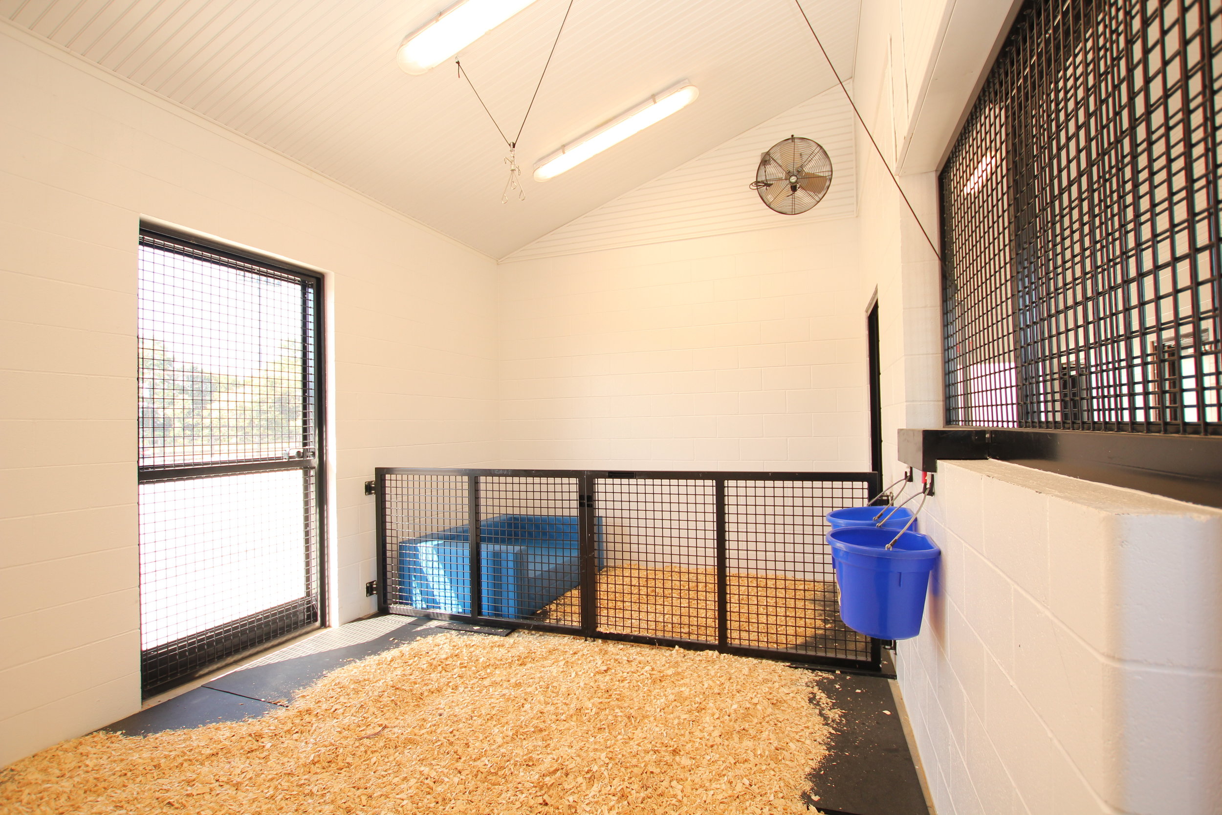 Large mare and foal stalls with optional dividing gates, fluid hangers, and dual fans.