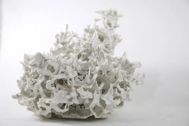 ice_form_02-lr.jpg
