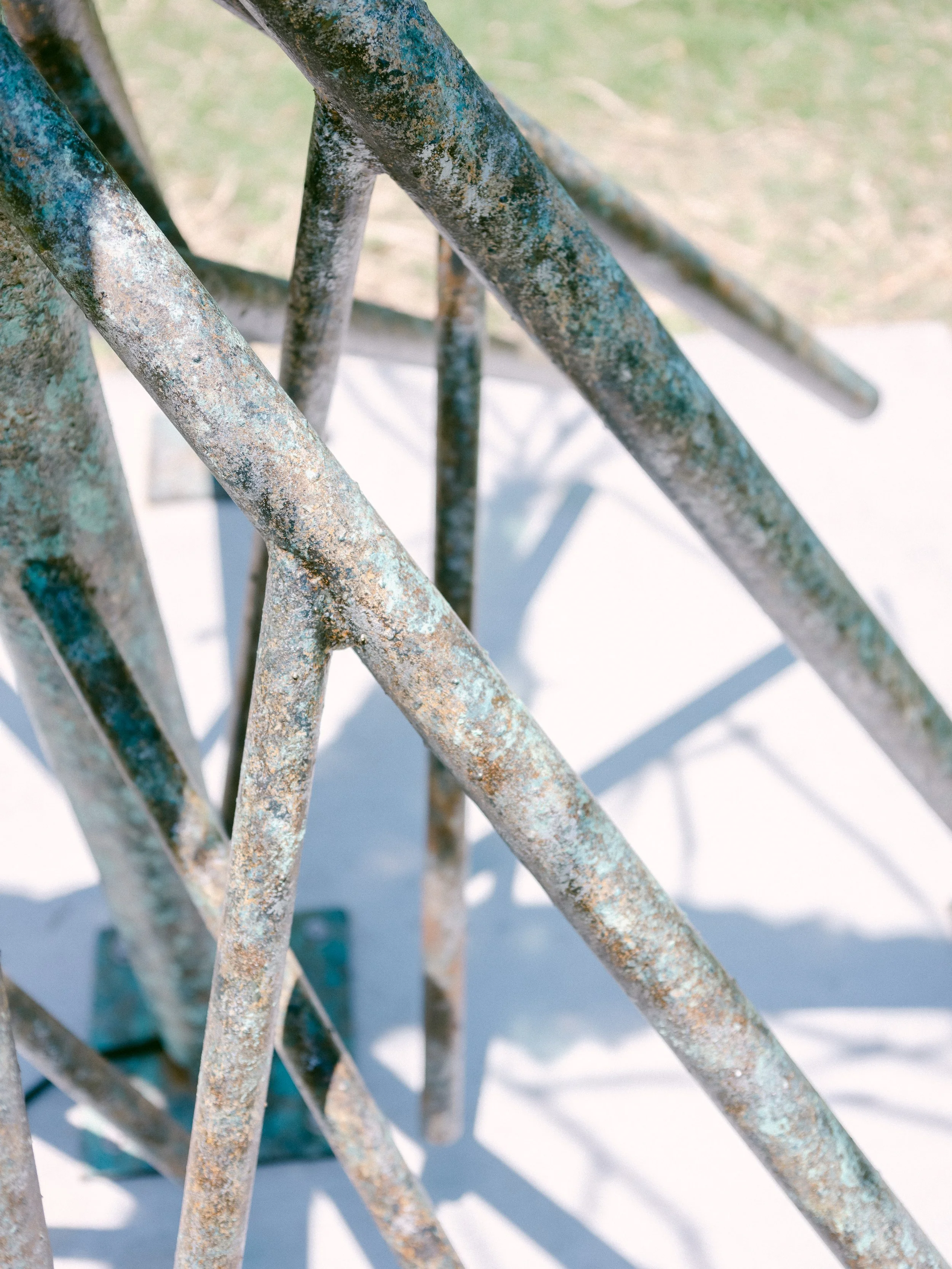 kat kazlauskas_day_002.JPG