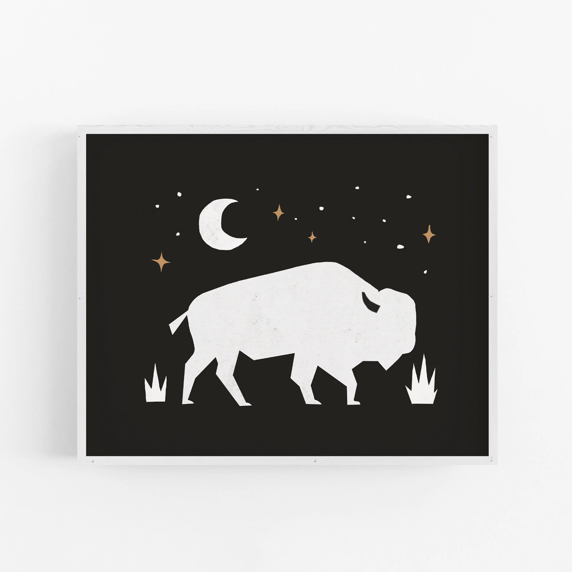 Buffalo Art Print
