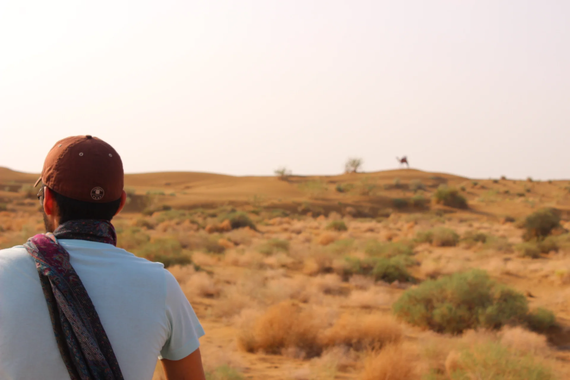 Live and Learn as if 