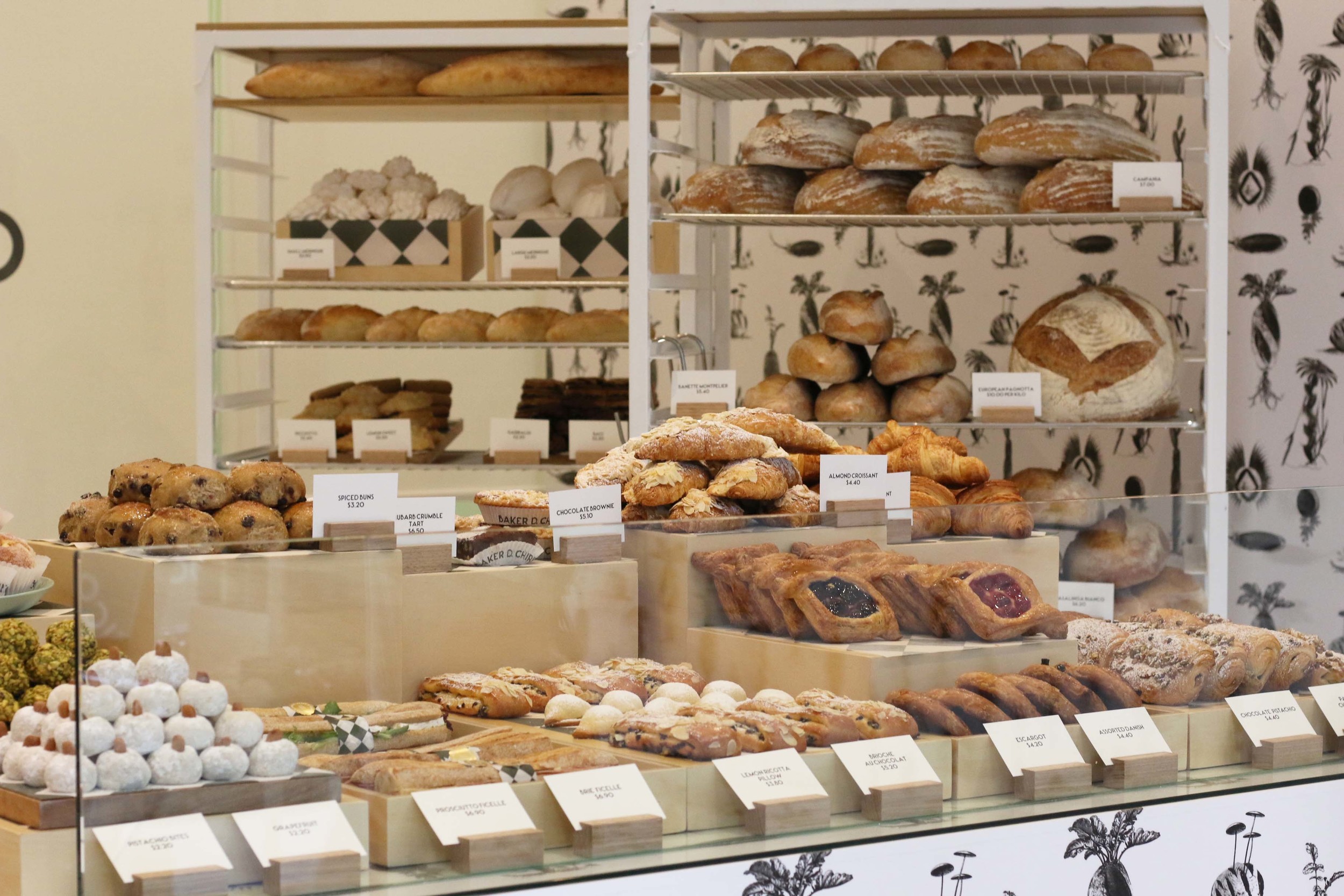IMAGE: supplied by Baker D. Chirico