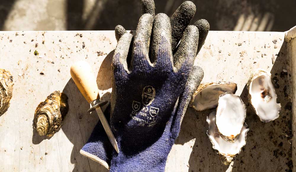 Tools of the trade, Get Shucked Oysters, Bruny Island. IMAGE: Peter Tarasiuk