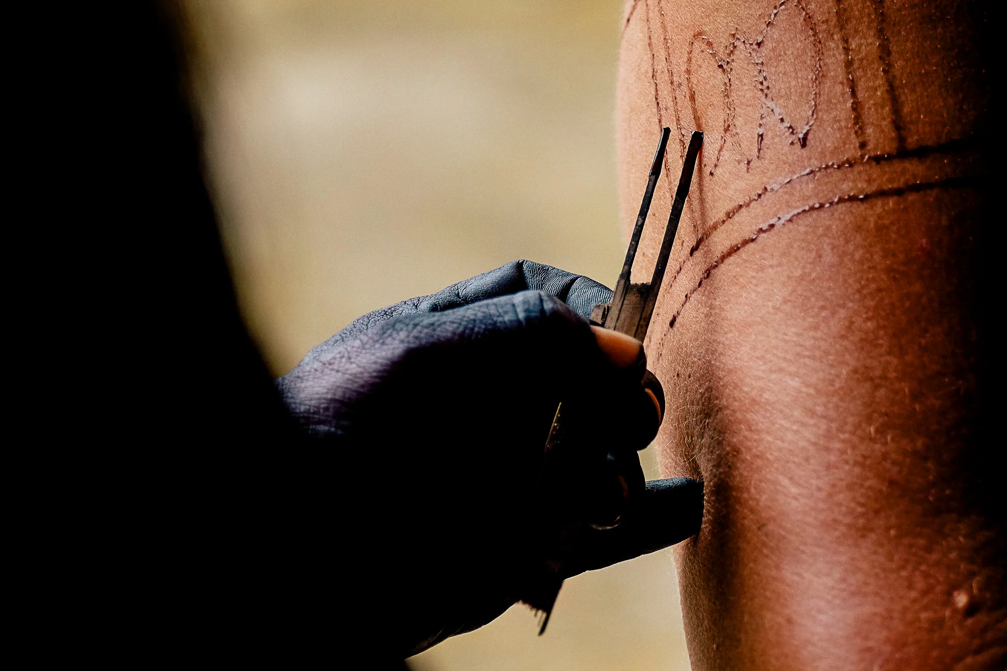 The Embera have a traditional form of skin decoration called the Jagua Tattoo. The decoration is made from the application of an extract from the fruit Genipa americana. These intricate patterns are generally applied using tools made from balsa wood on special occasions.