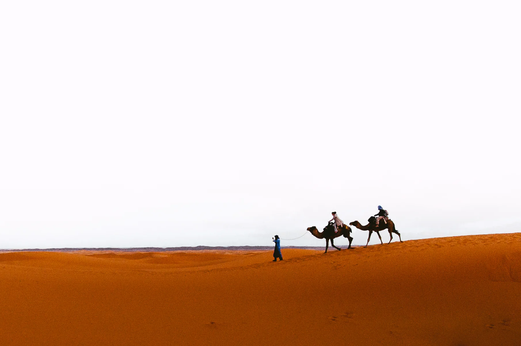 Camel trekking through the dunes.