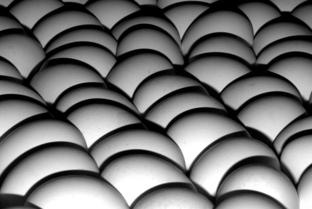 Eggs2_4458044922_l.jpg