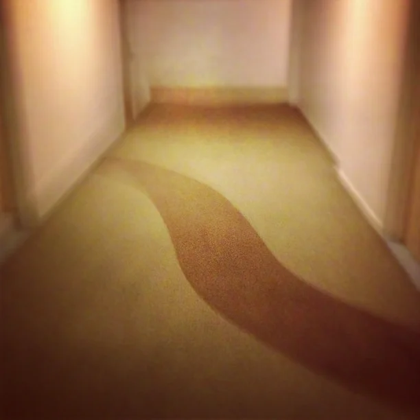 iPhone + hallway #architecture #design #iphone #art_9401516585_l.jpg