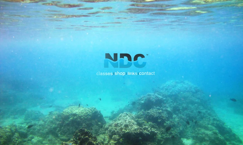 National Dive Center Home Page_6347232946_l.jpg
