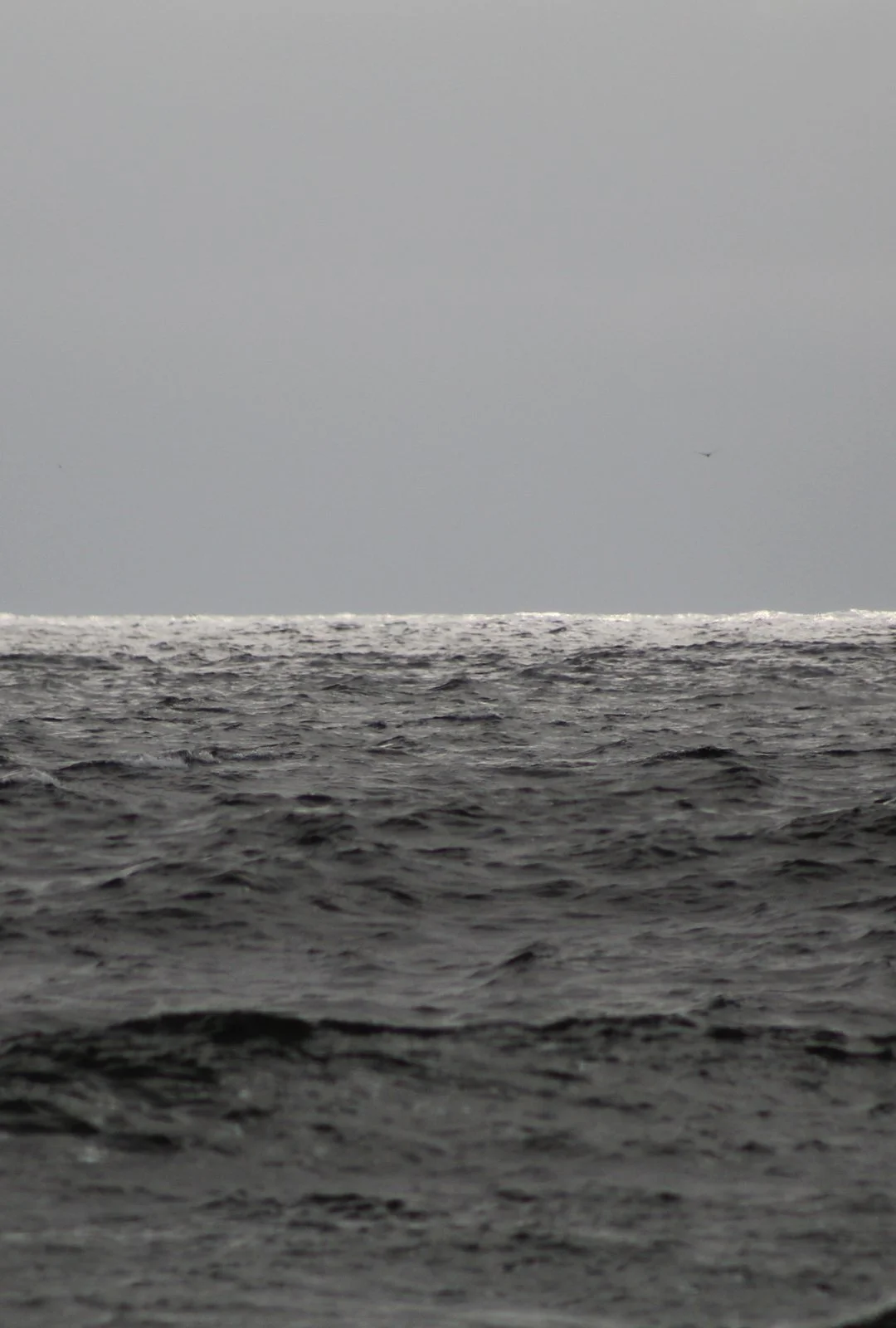 kawae_studio10 ocean.jpg