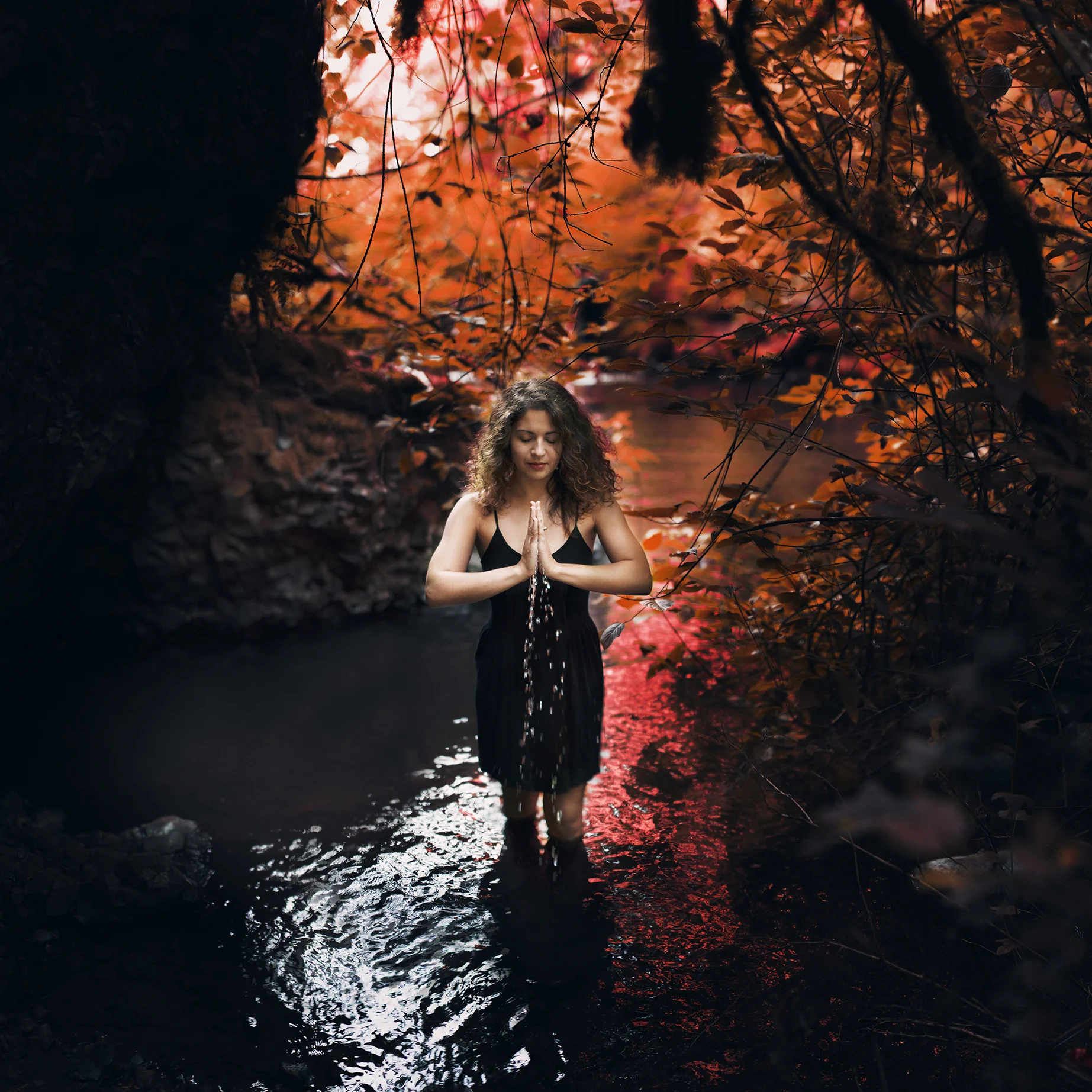 Shireen, Water of Life