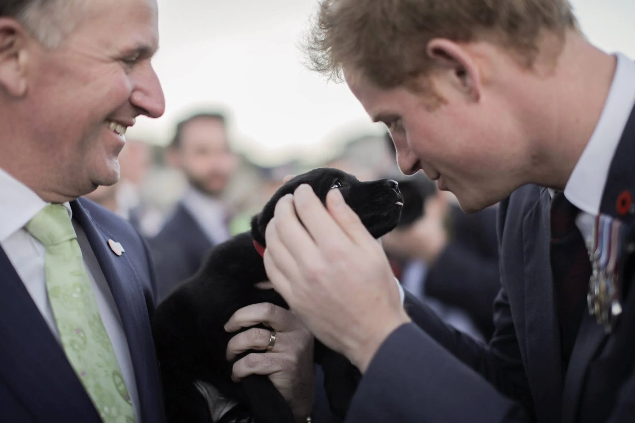 Prince Harry / Wellington National War Memorial Park