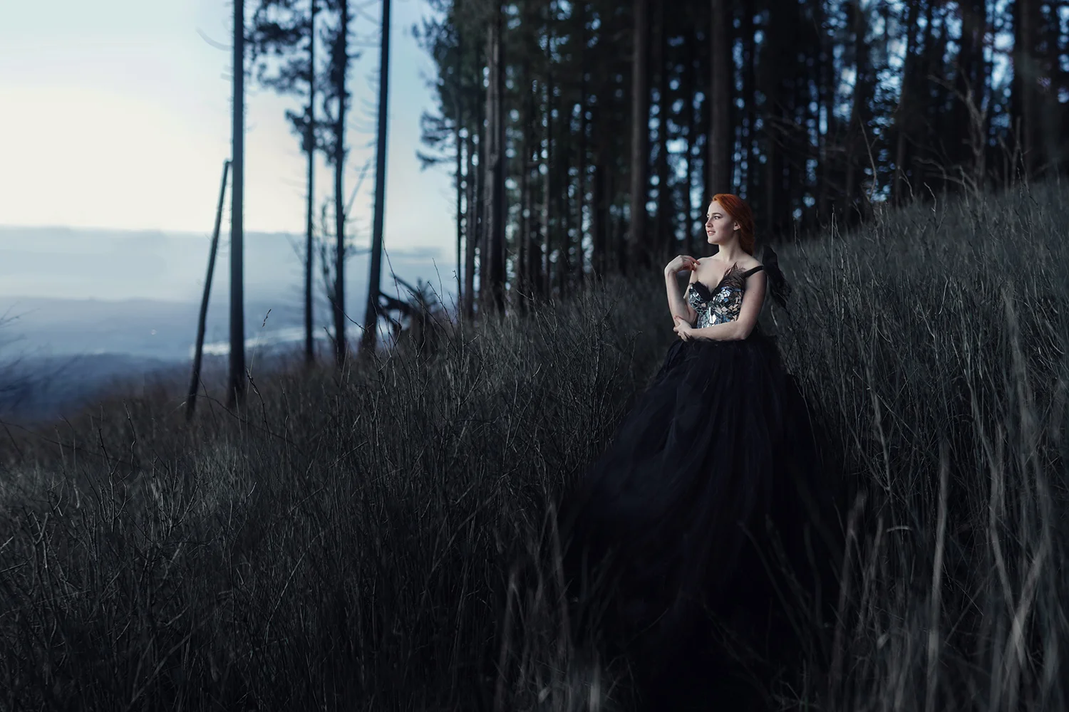 My favorite photos from 2015 + the year in review