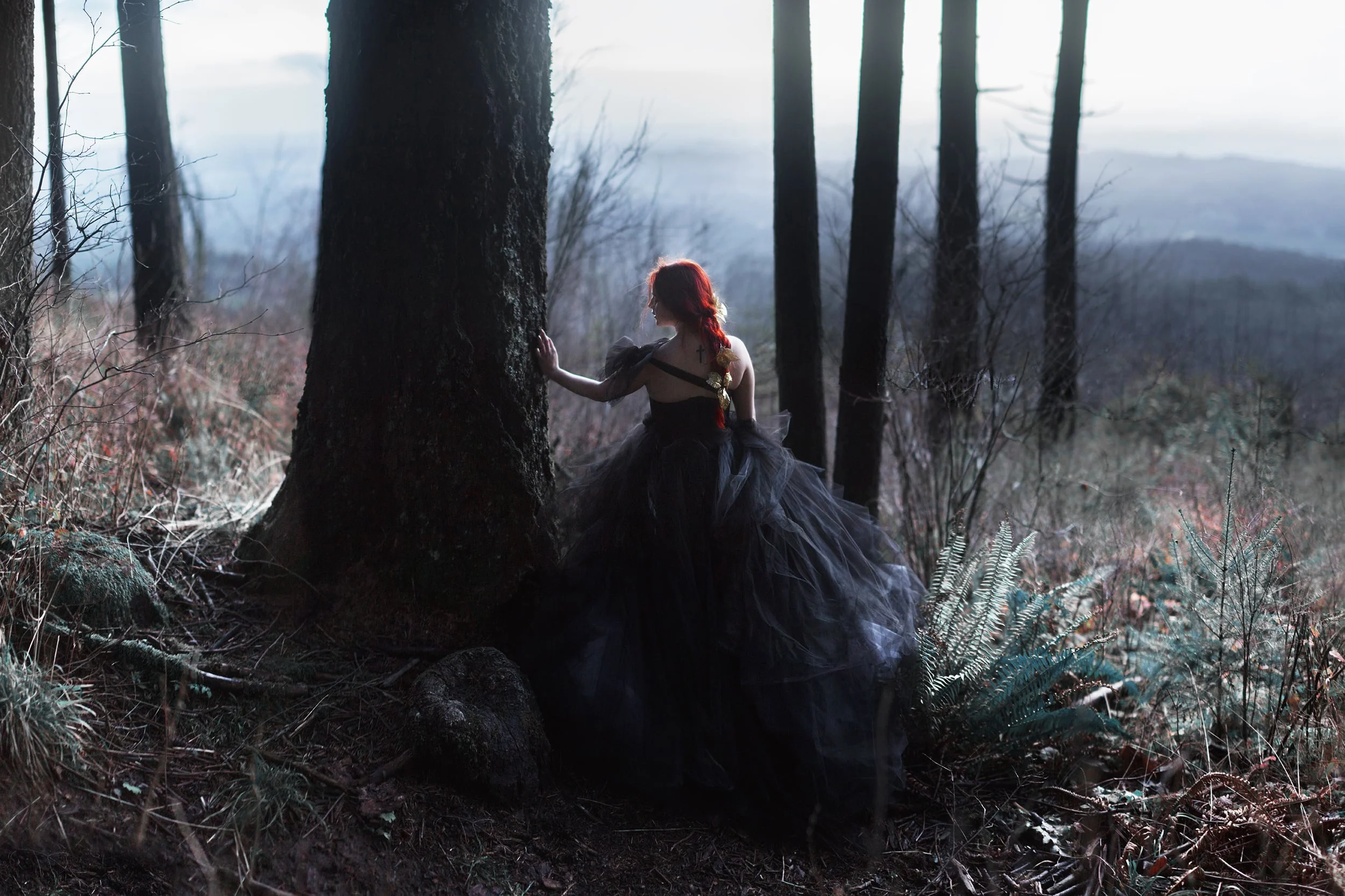 the hello into winter