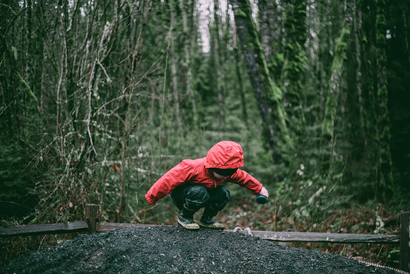 Into the Woods 002.jpg
