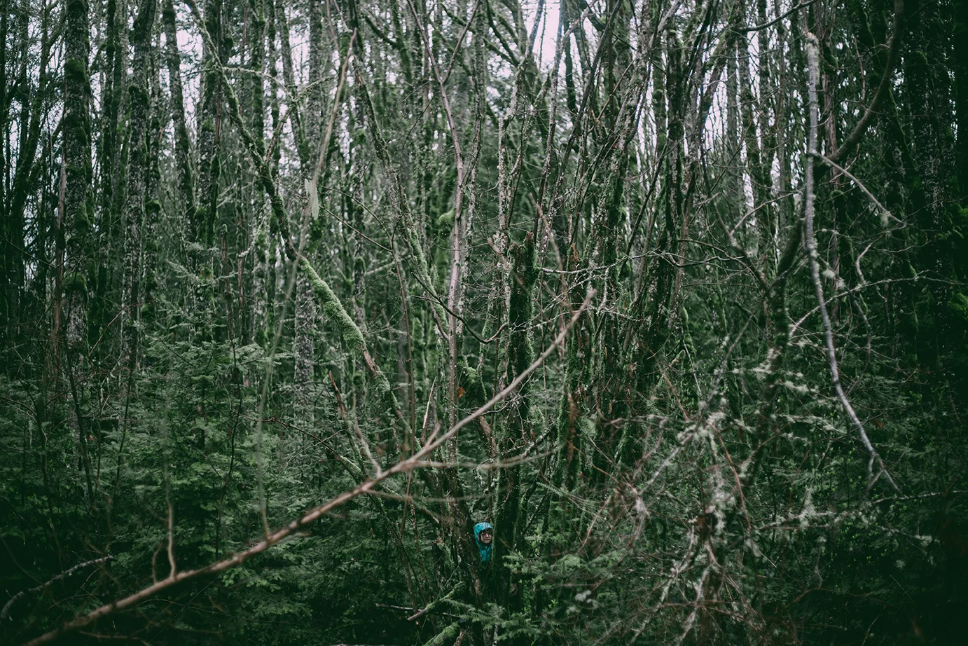 Into the Woods 026.jpg