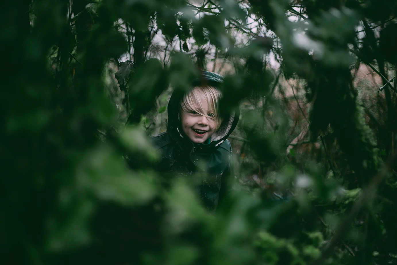 Into the Woods 102.jpg