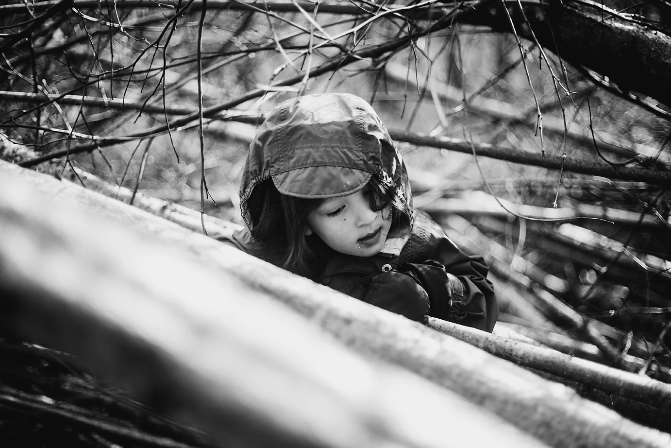 Into the Woods 150.jpg