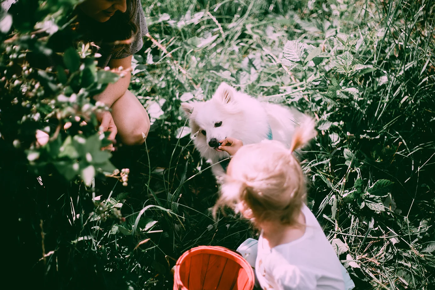 Hawthorne Family 069.jpg