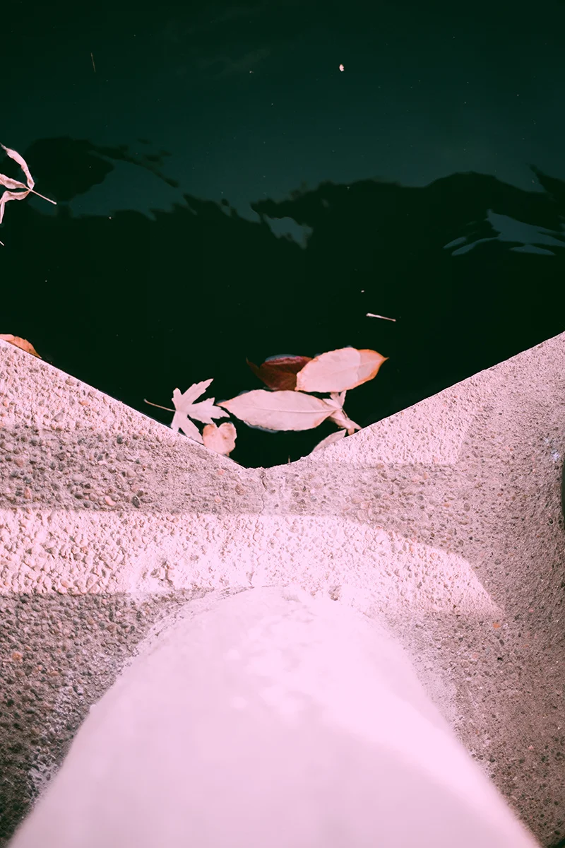 David and Natalie 312.jpg