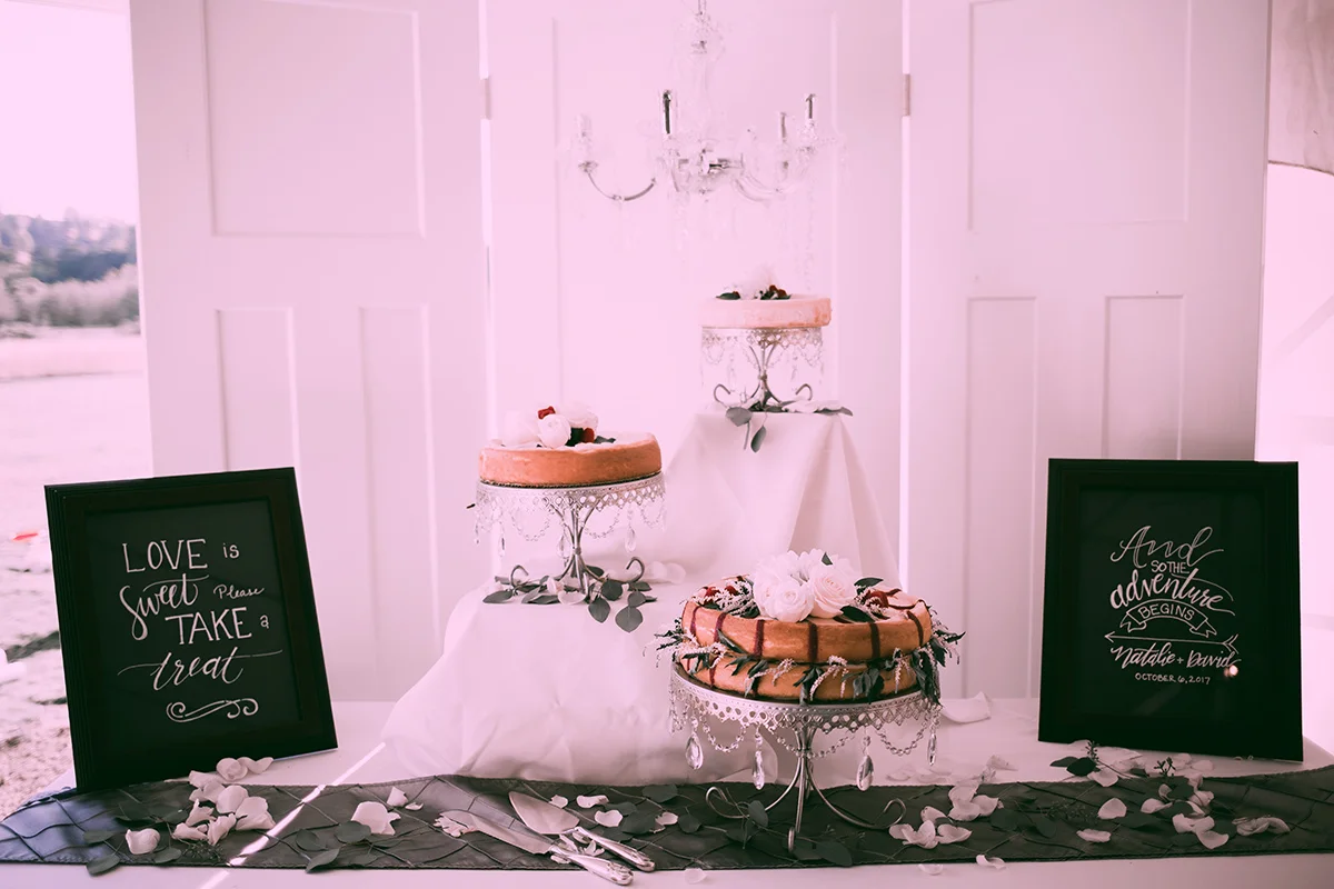 David and Natalie 348.jpg